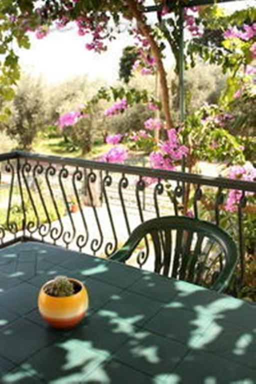 Apartments & Rooms M Petrovac 외부 사진